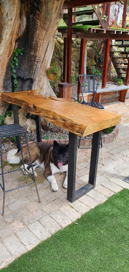 Casa En El Arbol Villa Suesca Ngoại thất bức ảnh