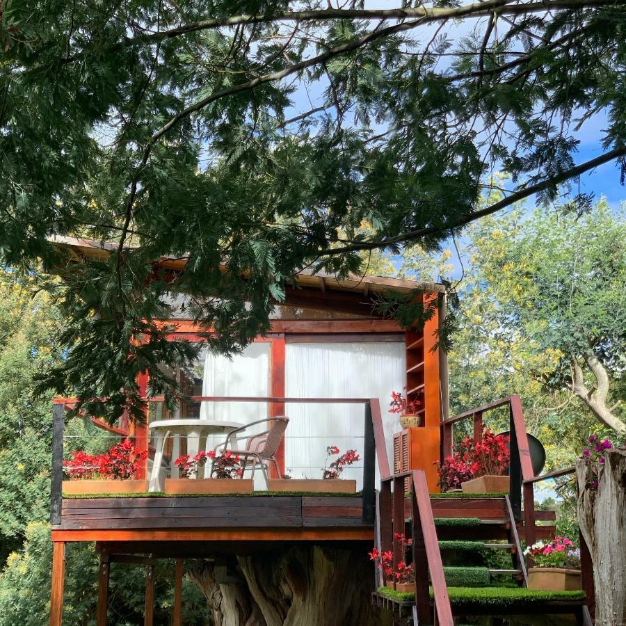Casa En El Arbol Villa Suesca Ngoại thất bức ảnh