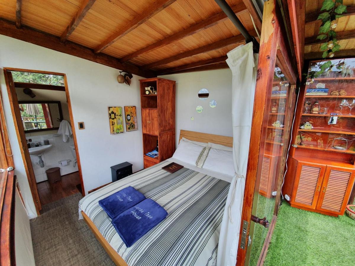 Casa En El Arbol Villa Suesca Ngoại thất bức ảnh